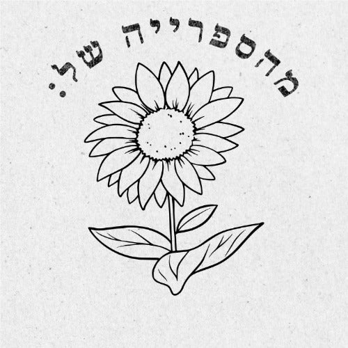 מבלט ספרים מותאם אישית